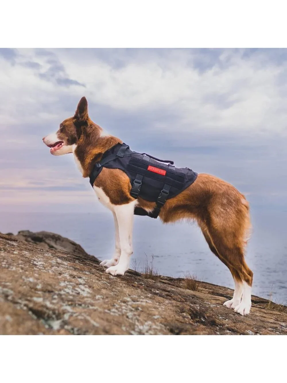 Breathable No-Pull Tactical Dog Harness for Medium Dogs - Military Molle Vest